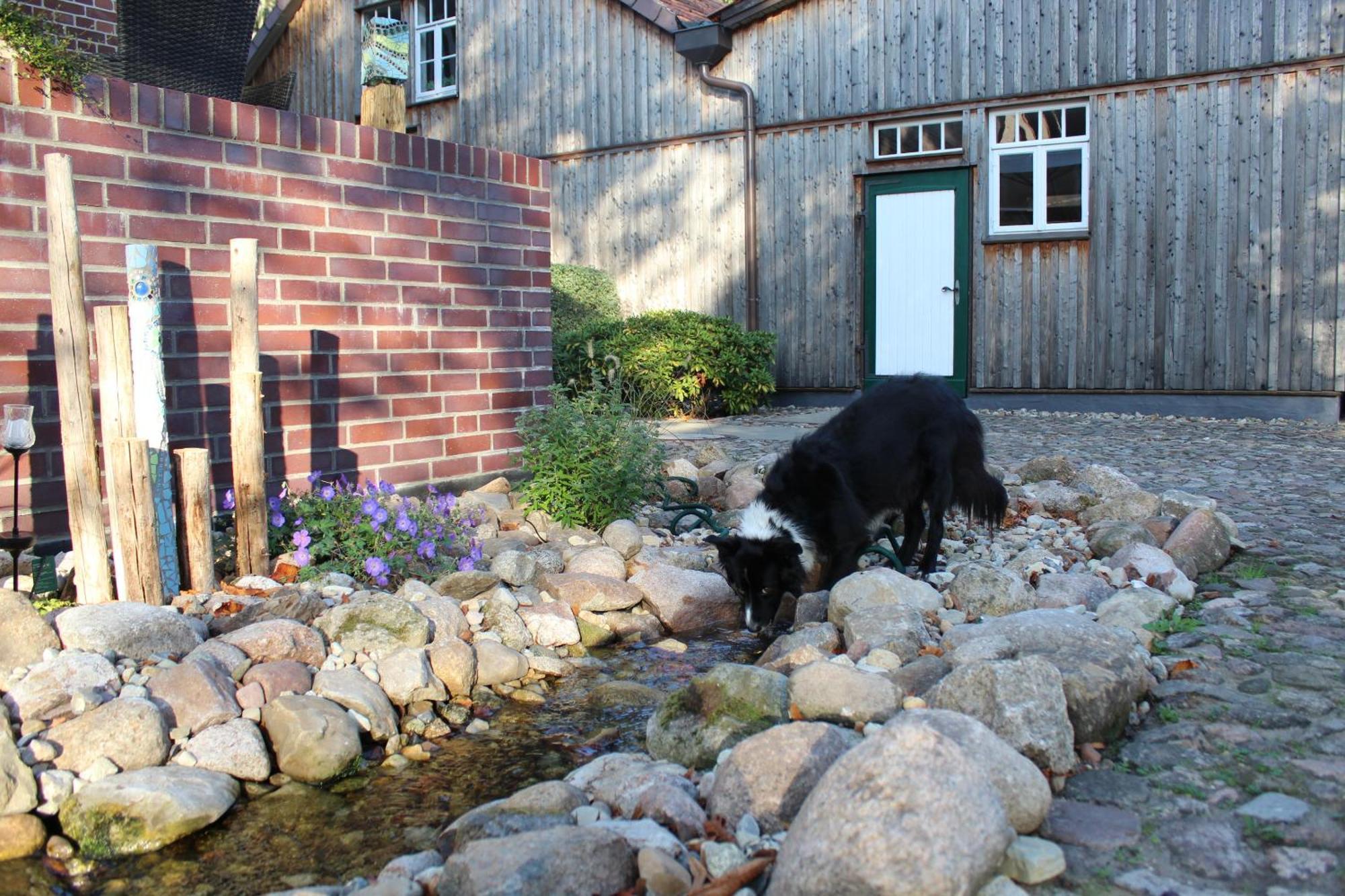 Landgasthof Wildwasser Wolthausen 外观 照片